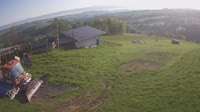 Czerwienne