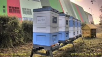 Miniaturansicht