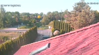Rąbień - Stagno