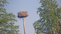 Grabenstätt - Winkl - Gandrai