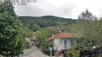 Krikello - Center