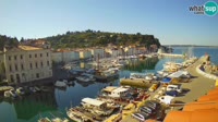 Piranas - Port Mandrač