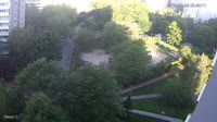 Miniaturansicht
