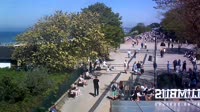 Promenada