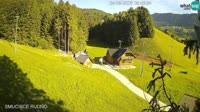 Miniaturansicht