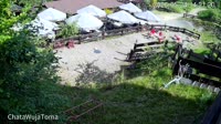Miniaturansicht