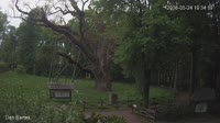 Miniaturansicht