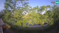 Sisak - Kupa