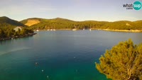 Hvar - Vira