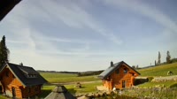 Oberharz am Brocken - Tanne