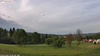 Vignette