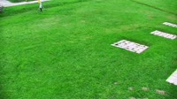 Nosal - Pista de esquí