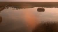 Nationalpark Coto de Doñana - Caño de Rosalimán