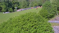 Miniaturansicht