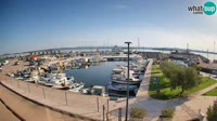 Tkon - Marina