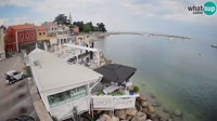 Novigrad - Porporela