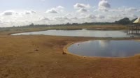 Voi - Tsavo-East-Nationalpark