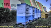 Miniaturansicht
