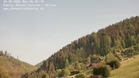 Miniaturansicht