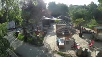 Miniaturansicht