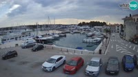 Novigrad - Porporela Marina