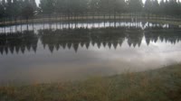 Miniaturansicht