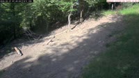 Veszprém - Vogelhäuschen