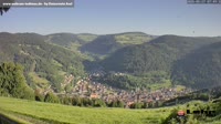 Todtnau im Südschwarzwald - Hasenhorn