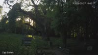 Zagnańsk - Bartek