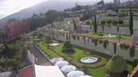 Tenerife - La Orotava - Victoria Gardens