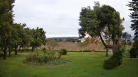 Stellenbosch - Raithby - Eikendal Vineyards