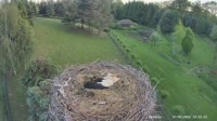 Strzelce - Storks