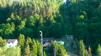 Palenica