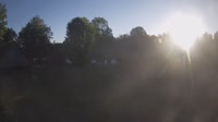 Vignette