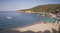 Elba - Cavoli
