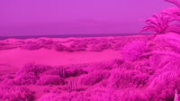 Gran Canaria - Maspalomas - Mirador Dunas
