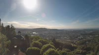 Vignette