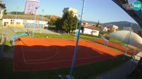 Miniatura