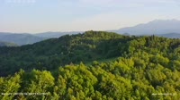 Ochotnica Dolna - Tours d'observation