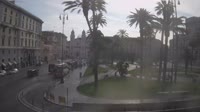 Vignette
