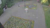 Vignette