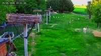 Kozubszczyzna - Bociani Azyl