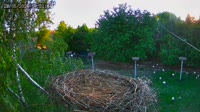 Kozubszczyzna - Bociani Azyl - Barn