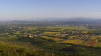 Vignette