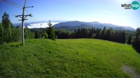 Vignette
