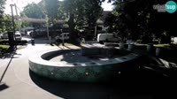 Vignette