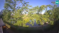 Vignette