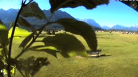 Vignette