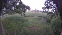 Vignette