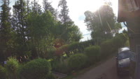 Vignette